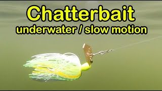 Chatterbait fishing lure underwater slow motion SHORTS [upl. by Ellenrahc243]