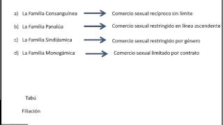 Clasificación de familia engels [upl. by Reniar]