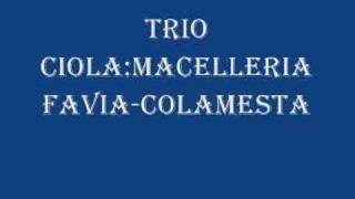 Trio Ciola macelleria faviacolamesta [upl. by Drusi]