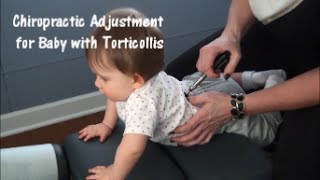 Chiropractic Adjustment for Baby with Torticollis [upl. by Ettenom]