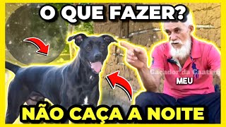 CACHORRO DE CAÇA QUE NÃO ANDA A NOITE  O QUE FAZER [upl. by Thill]