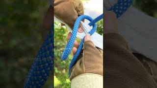 Incredible Tarp Corner Knot  Great For Camping [upl. by Sucerdor618]