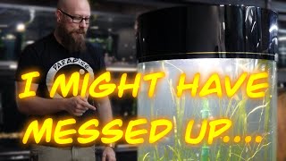 Big Cylinder Tank White Cloud Minnows and Vallisneria Aquascape Tutorial [upl. by Lurie]