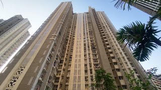 Lodha Amara l 1bhk sale  Rent kolshet road thane call  8928197124 [upl. by Enelak321]