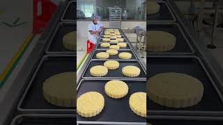 Want To Try Delicious Chinese FiveNut Mooncakesshorts mooncakes food [upl. by Fihsak]