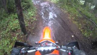 ktm 690 enduro forest run [upl. by Halihs]