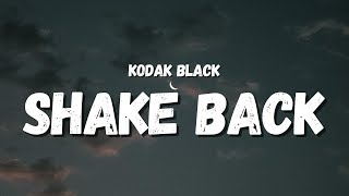 Kodak Black  Shake Back Lyrics TikTok Song  Im not a idol you can have the fame back [upl. by Alehtse]