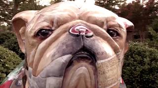 The Bulldog Song Official Version [upl. by Elvah]