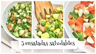 Ensaladas Saludables [upl. by Aicirtal463]