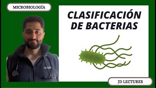 CLASIFICACIÓN DE LAS BACTERIAS  TINCIÓN DE GRAM  MICROBIOLOGÍA [upl. by Seiber460]