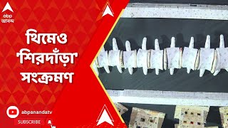 Durga Puja Theme RG Kar আন্দোলনের অনুপ্রেরণা পুজোর মণ্ডপে থিম শিরদাঁড়া। ABP Ananda Live [upl. by Arracot63]