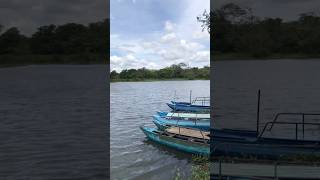 හබරණ වැවේ සුන්දරත්වය habarana lake trending beautifulplaces srilankatravelvlog [upl. by Ilarrold]