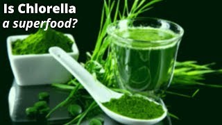 7 Impressive Chlorella Benefits That Prove Its the Ultimate Green Superfood [upl. by Oralia]