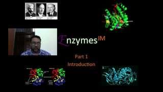 Enzymes 1 JM podcastmov [upl. by Chadd403]