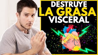 51 CLAVES Para DESTRUIR La GRASA VISCERAL ADELGAZAR y Mejorar Tu SALUD [upl. by Rhody807]