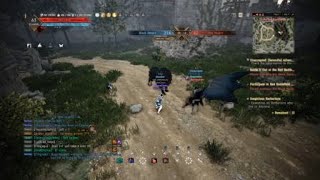 Black Desert pvp tarmer ps4 [upl. by Royo]