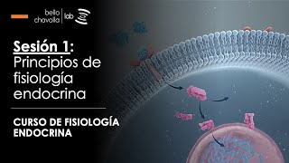 Principios de fisiología endocrina [upl. by Neelac]