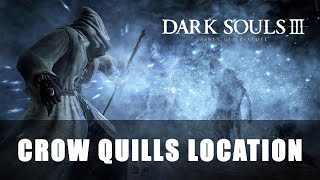 Dark Souls 3 Ashes of Ariandel  Crow Quills Location [upl. by Emia]