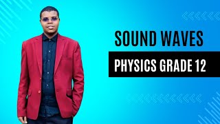 12th Class  Physics  Chapter 3  Sound Waves  Lec01 [upl. by Haduj217]