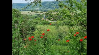 Au départ de Giverny [upl. by Enorahs72]