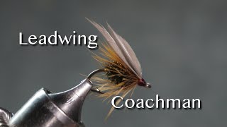 Leadwing Coachman from Favorite Flies and Their Histories 1892 by Mary Orvis Marbury [upl. by Atiken]