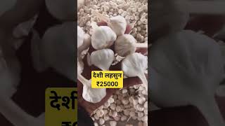 dalodamandibhavdeshilahsunbhav bestdeshigarlicrateVishnupatidar garlicprice agriculture onion [upl. by Mort]