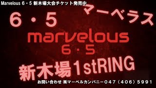 全対戦カード】マーベラス ６・５ 新木場 Marvelous prowrestling [upl. by Massie]