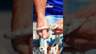 No Tangle Anchor Line The Daisy Chain Full Video in Description [upl. by Geanine]