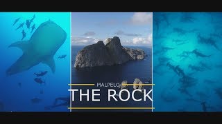 Malpelo the rock of the sharks  Tauchen am Fels der Haie  Diving on the rock of the sharks [upl. by Ardiekal]