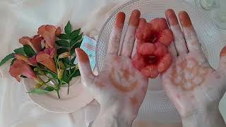 ASMR ☆ Hand Exfolian Care 🫴 Hand Massage [upl. by Tiler]