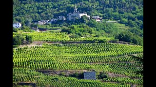 Intervista a Mamete Prevostini dellomonima cantina valtellinese [upl. by Aliuqahs]