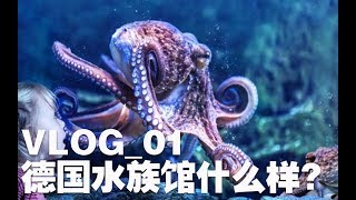 VLOG 01 德国的海鲜……水族馆什么样？ [upl. by Mccormac]