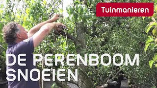 De perenboom snoeien hoe doe je dat  Tuinmanieren [upl. by Ainotahs]