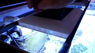 Giesemann Teszla LED Reef Tank Lights Full Review [upl. by Einiffit948]