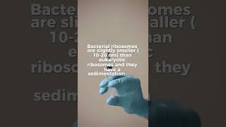 Ribosomesmicrobiologymicrobesprokaryotesytshortsytfactssciencecellular [upl. by Laforge]