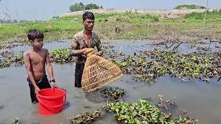 Fish HuntingAwesome fishing skillcatching big catfgish by bangladeshi fishing trap [upl. by Maupin]