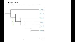 Erklärfilm Kladogramm [upl. by Ahsiekyt58]