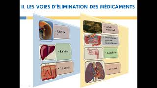 cour5 élimination des médicaments [upl. by Ok]