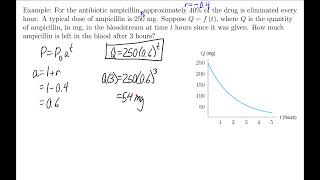 Business Calculus  Exponential Functions [upl. by Sakul]