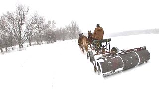 Draft Horses Rolling Sleigh Ride Trail Winter Harvesting Of Garden [upl. by Sefton745]