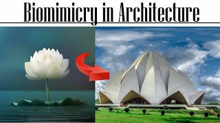 Biomimicry in Architecture [upl. by Edee884]