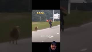 Ram Chasing Kid On Bike funny subscribe arabic subscribe [upl. by Yrellam]