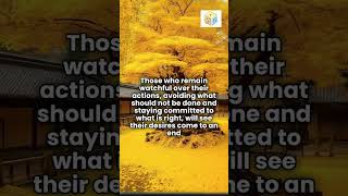 293 Ending Desires The Power of Watchfulness and Wisdom Short Meditation meditation [upl. by Valaria582]