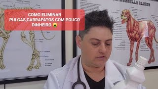 MANEIRA BARATA QUE EU ENCONTREI PARA AJUDAR ANIMAIS [upl. by Aynod]