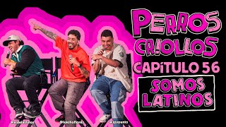 PERROS CRIOLLOS  SOMOS LATINOS CAP 56 [upl. by Tufts]