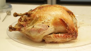 How to Microwave a Turkey [upl. by Downall]