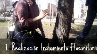 ENDOTERAPIA Realización de tratamiento fitosanitario en nuestro curso [upl. by Ytomit]