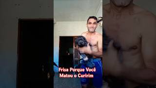 Frisa Porque Vc Matou o Curirim tiktok humor humormemes shorts deus shortvideo memes music [upl. by Attenat]