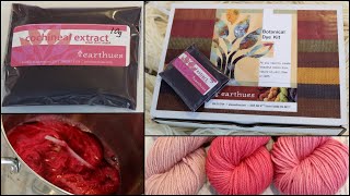 Dyeing Wool Yarn with Cochineal Extract Shifting the Hue w Iron amp Cream of Tartar Dyepot PS 75 [upl. by Annert]