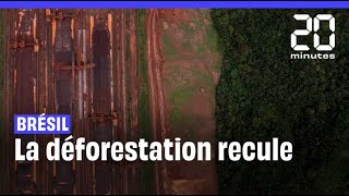 Amazonie  Entre janvier et juin 2023 la déforestation au Brésil à baissé de 34 [upl. by Marilee]